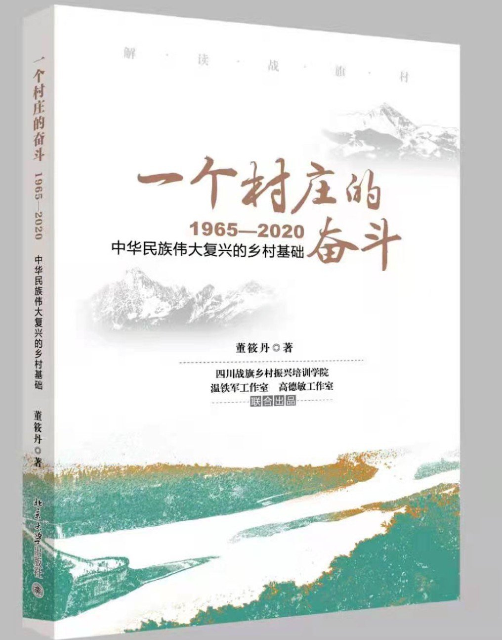 一个村庄的奋斗 1965-2020 中华民族伟大复兴的乡村基础
