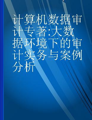 计算机数据审计 大数据环境下的审计实务与案例分析