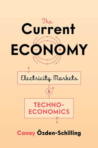 The current economy : electricity markets and techno-economics /