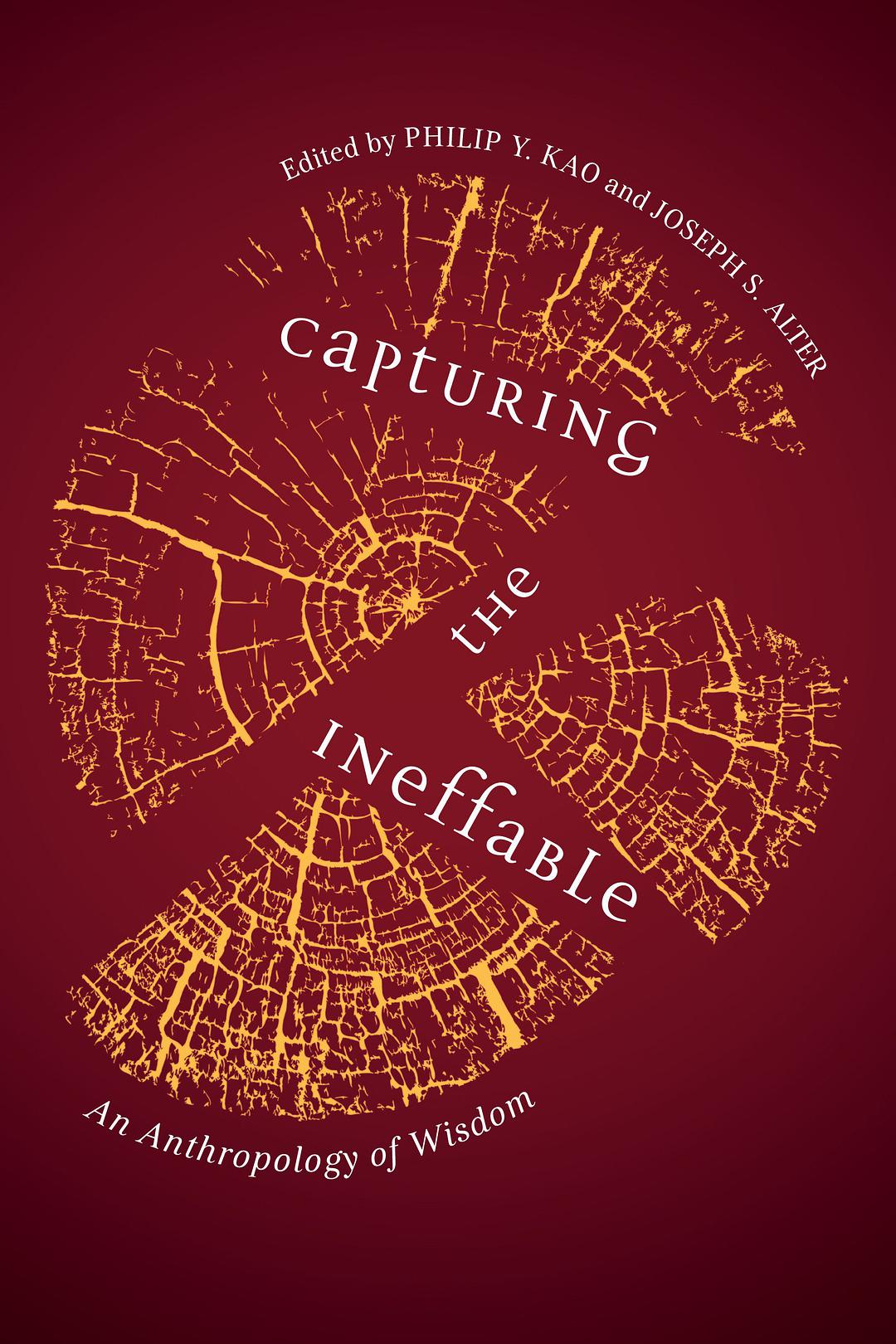 Capturing the ineffable : an anthropology of wisdom /