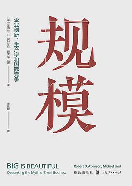 规模 企业创新、生产率和国际竞争