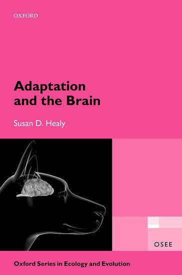 Adaptation and the brain /