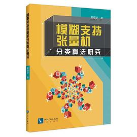 模糊支持张量机分类算法研究