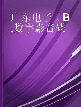 广东电子 B 数字影音碟