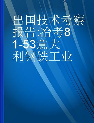 出国技术考察报告 冶考81-53意大利钢铁工业