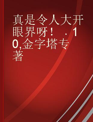 真是令人大开眼界呀！ 10 金字塔