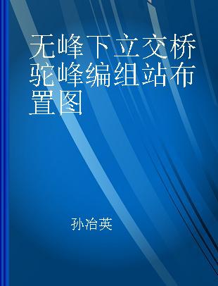 无峰下立交桥驼峰编组站布置图