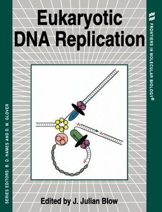 Eukaryotic DNA replication/