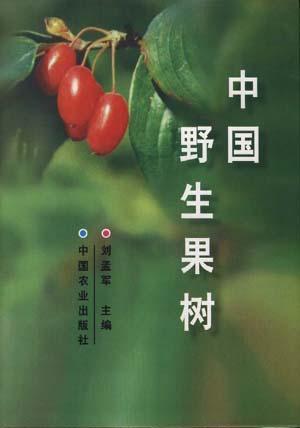 中国野生果树