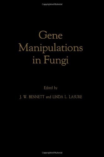 Gene manipulations in fungi