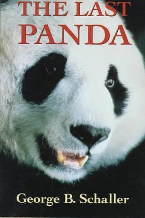 The last panda