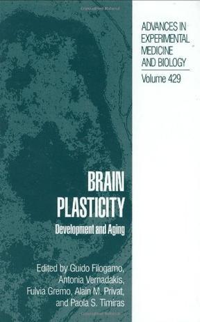 Brain plasticity development and aging