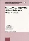 Simian virus 40 (SV40) a possible human polyomavirus : Natcher Auditorium, NIH, Bethesda, Maryland, USA, January 27 and 28, 1997
