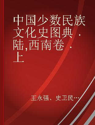 中国少数民族文化史图典 陆 西南卷 上