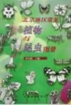 北京地区常见植物与昆虫图册