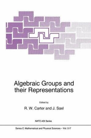 Algebraic groups and their representations