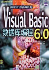 Visual Basic 6.0数据库编程