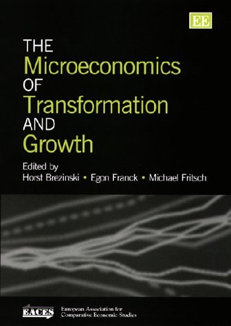 The microeconomics of transformation and growth