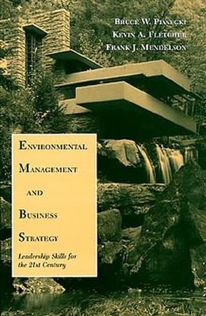 Environmental management and business strategy leadership skills for the 21st century