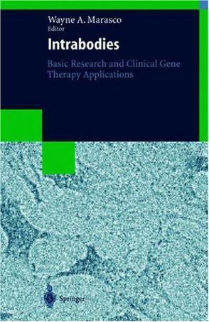 Intrabodies basic research and clinical gene therapy applications