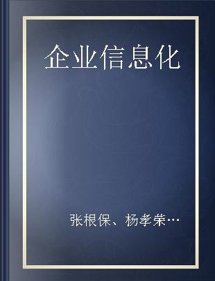 企业信息化