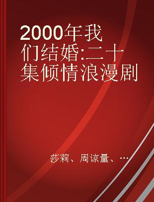 2000年我们结婚 二十集倾情浪漫剧